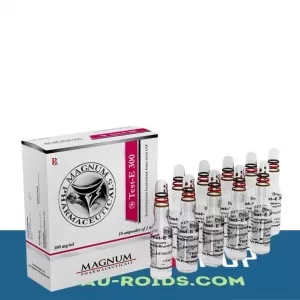 Magnum Test-E 300